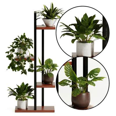现代绿植盆栽植物架-03